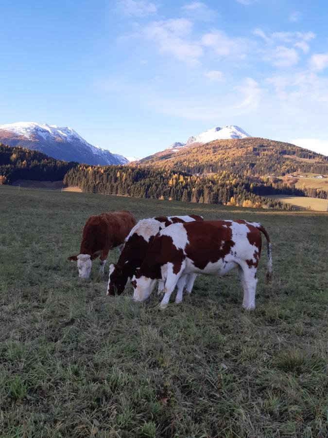 Sankt Andrä im Lungau Bio Bauernhof Schoberhofヴィラ エクステリア 写真