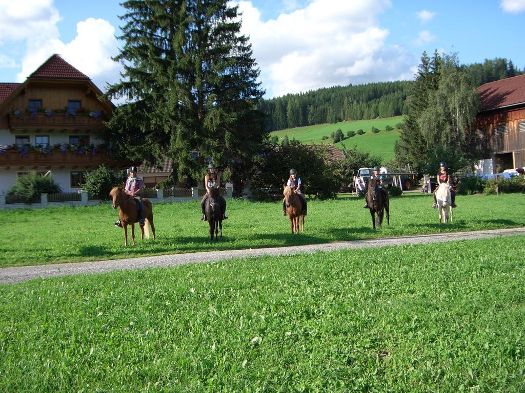 Sankt Andrä im Lungau Bio Bauernhof Schoberhofヴィラ エクステリア 写真