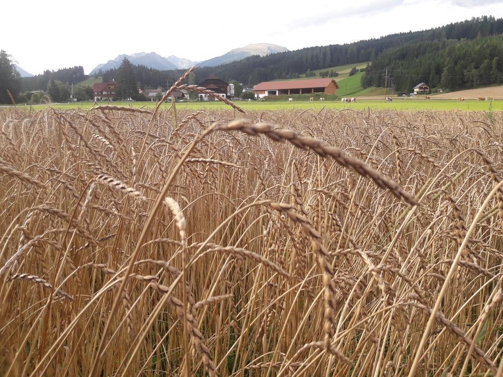 Sankt Andrä im Lungau Bio Bauernhof Schoberhofヴィラ エクステリア 写真