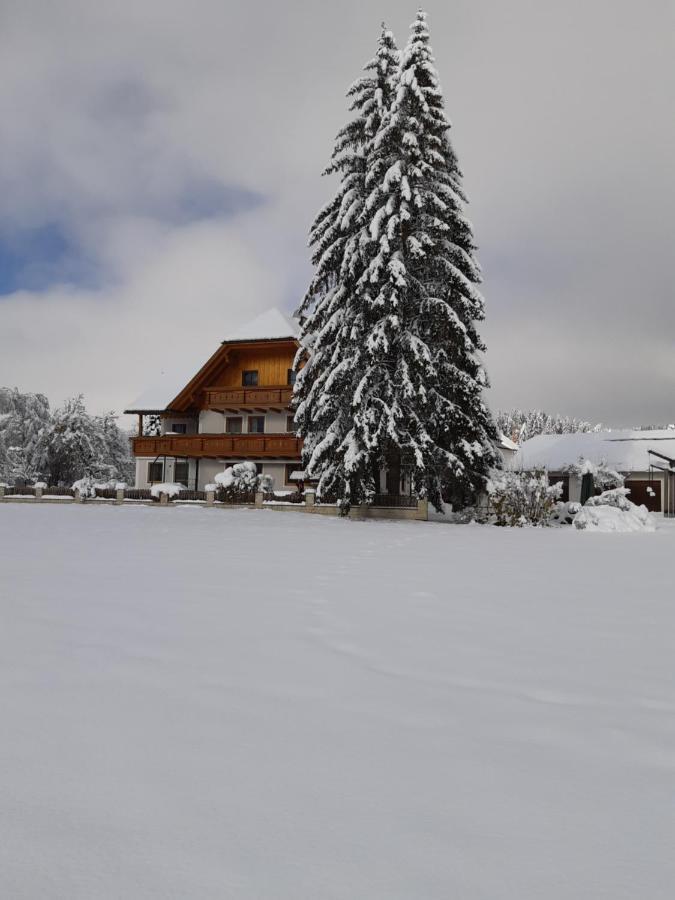 Sankt Andrä im Lungau Bio Bauernhof Schoberhofヴィラ エクステリア 写真